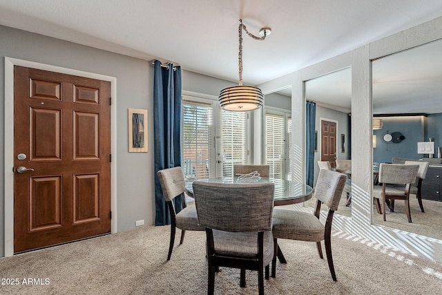 dining room featuring carpet