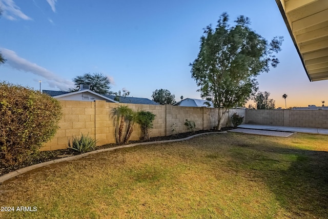 view of yard at dusk