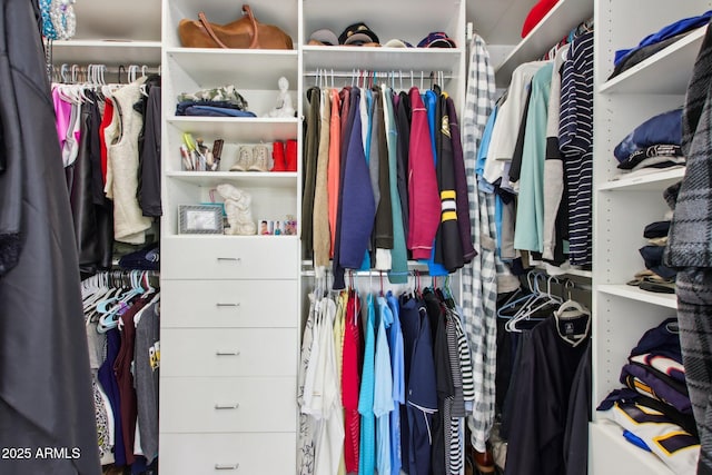 view of walk in closet