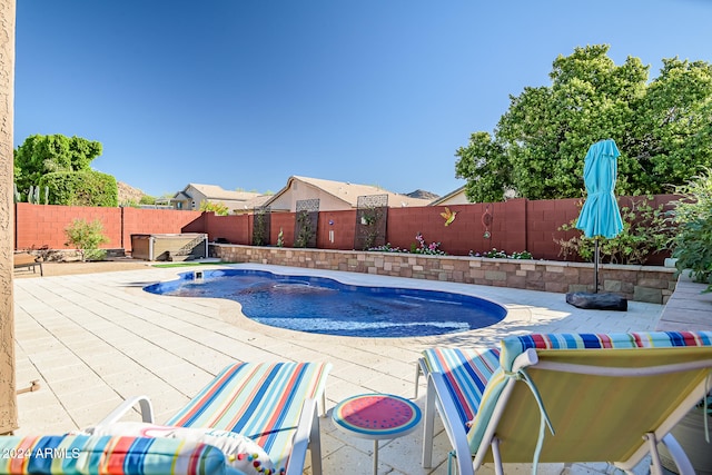 view of swimming pool with a patio