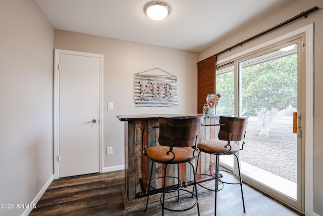 bar with dark wood-type flooring