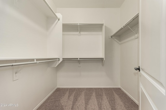 walk in closet featuring carpet floors