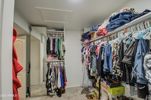 walk in closet with light carpet