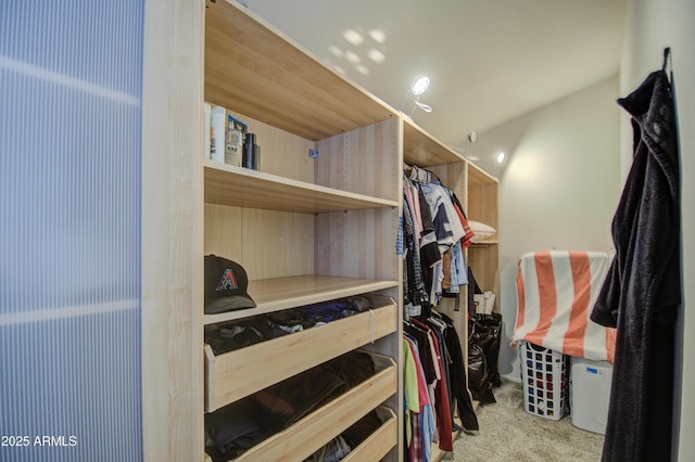 spacious closet with light carpet