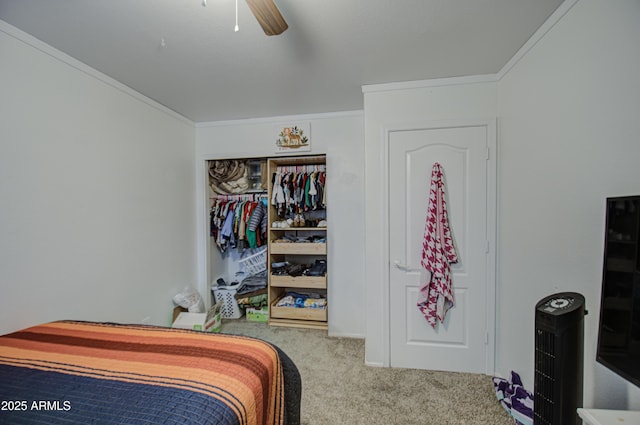 carpeted bedroom with ceiling fan, a closet, and crown molding