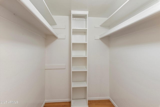 walk in closet featuring wood finished floors