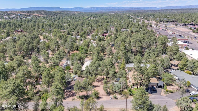 birds eye view of property with a mountain view