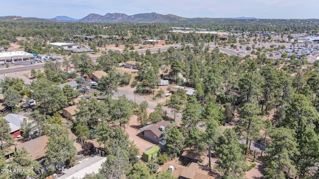 birds eye view of property featuring a mountain view