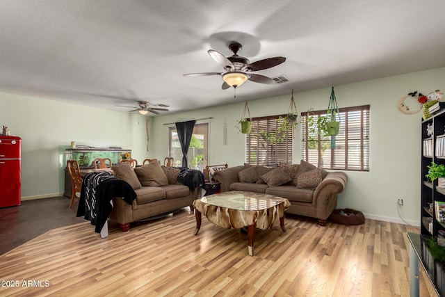40264 W Lococo St, Maricopa, AZ 85138 - living area with light wood-type flooring, baseboards, ceiling fan, and visible vents