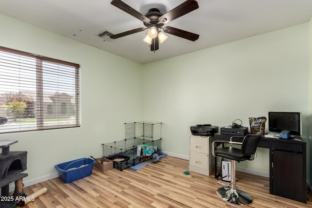 40264 W Lococo St, Maricopa, AZ 85138 - office with a ceiling fan, baseboards, visible vents, and light wood-type flooring