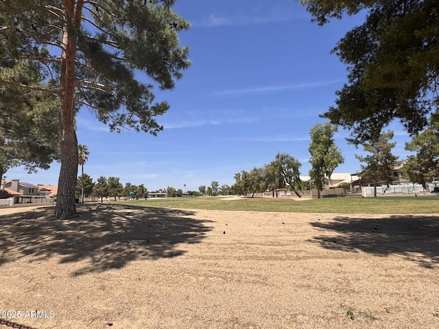 19506 N 73rd Ave, Glendale, AZ 85308 - view of yard