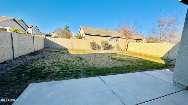 view of yard with a patio area and a fenced backyard