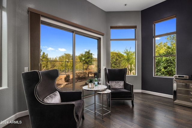 living area featuring dark wood-type flooring