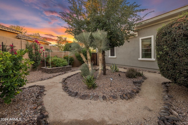 view of yard at dusk