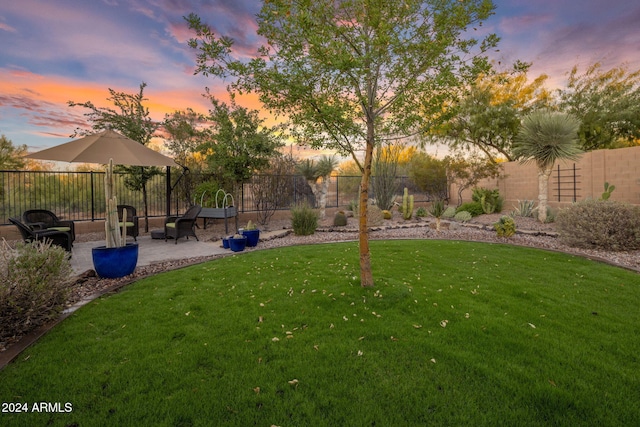 yard at dusk with a patio area