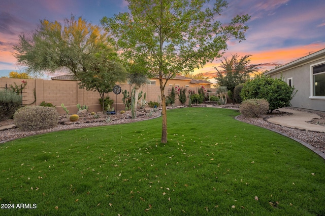 view of yard at dusk