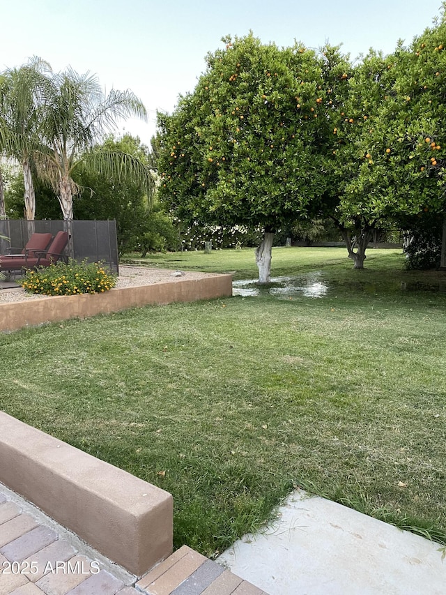 18132 E Vencino St, Gilbert, AZ 85298 - view of grassy yard