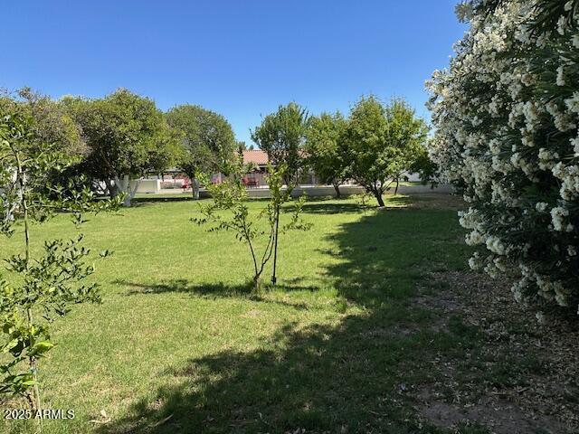 18132 E Vencino St, Gilbert, AZ 85298 - view of green lawn