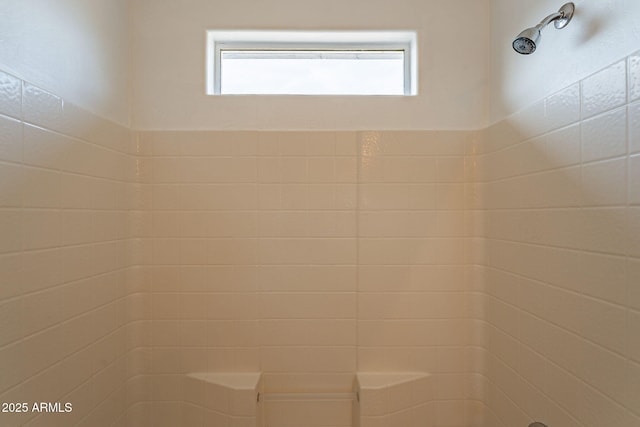 interior details with a shower