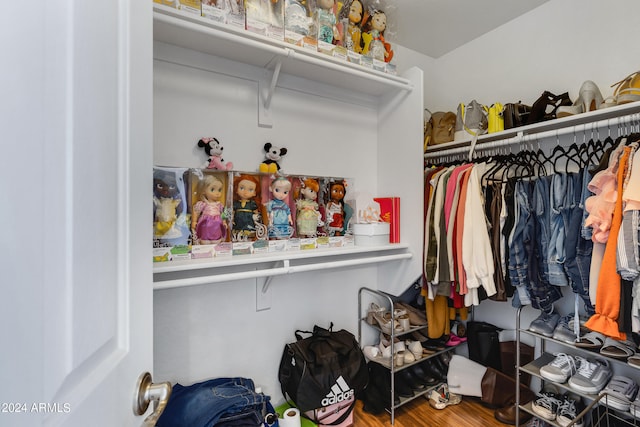 walk in closet featuring hardwood / wood-style floors