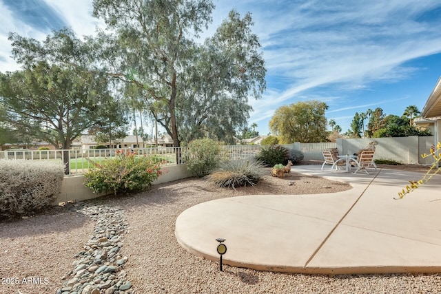 view of yard with a fenced backyard and a patio