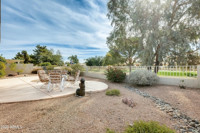 view of yard with a patio area