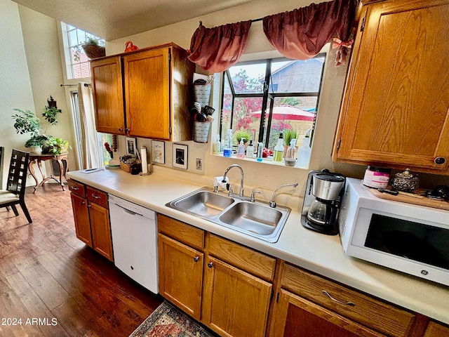 kitchen with white appliances, plenty of natural light, dark wood-type flooring, and sink