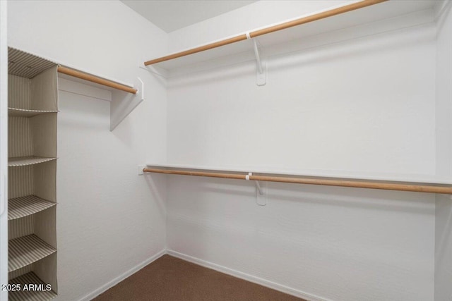 180 S 18th St, Coolidge, AZ 85128 - spacious closet with dark carpet