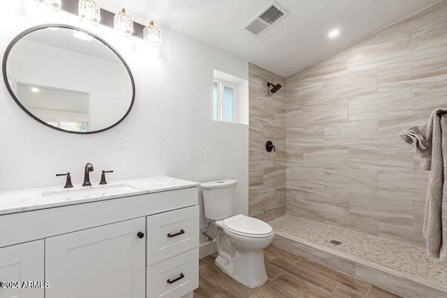 bathroom with toilet, vanity, vaulted ceiling, and plenty of natural light