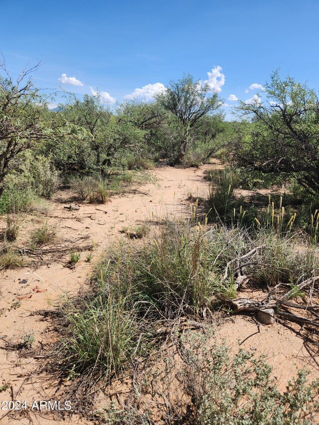 4574 S Calle Eldorado Unit 21, Sierra Vista, AZ 85650
