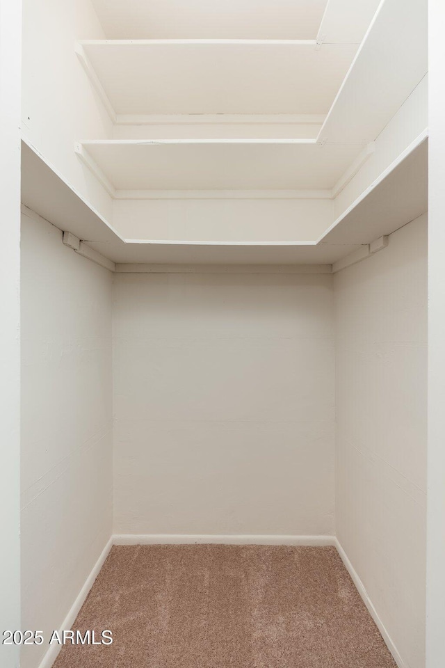 330 W Maryland Ave Unit 207, Phoenix, AZ 85013 - spacious closet with carpet flooring