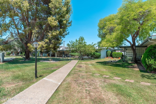 330 W Maryland Ave Unit 207, Phoenix, AZ 85013 - view of grassy yard