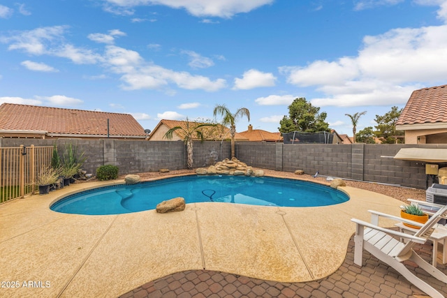 view of swimming pool with a patio area