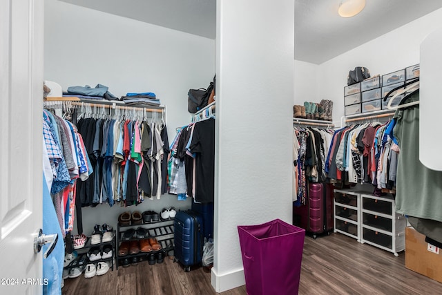 spacious closet featuring dark wood-type flooring