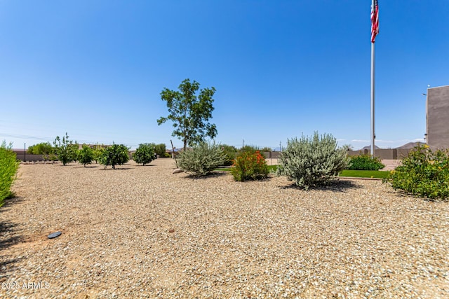 38415 N 25th Ave, Phoenix, AZ 85086 - view of yard