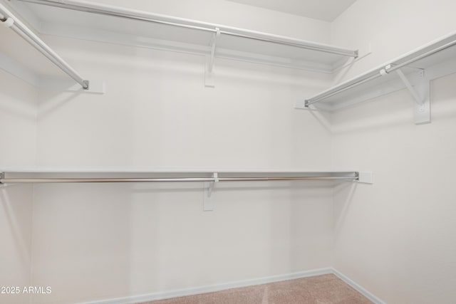walk in closet with carpet