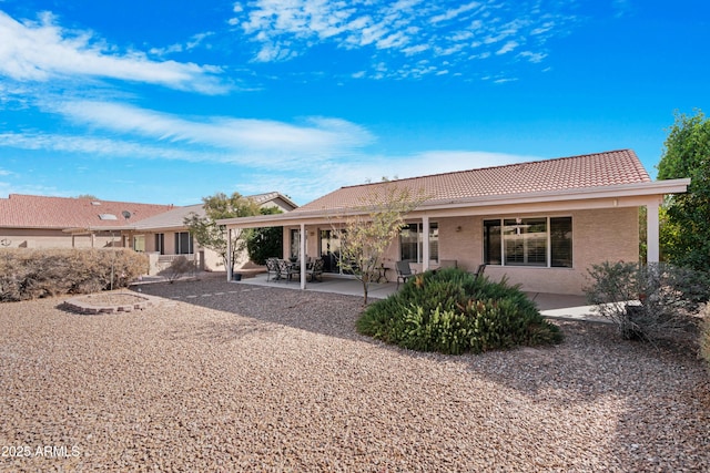 back of house with a patio area, stucco siding, and a tile roof