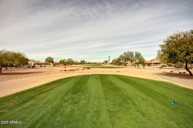 view of community with a yard
