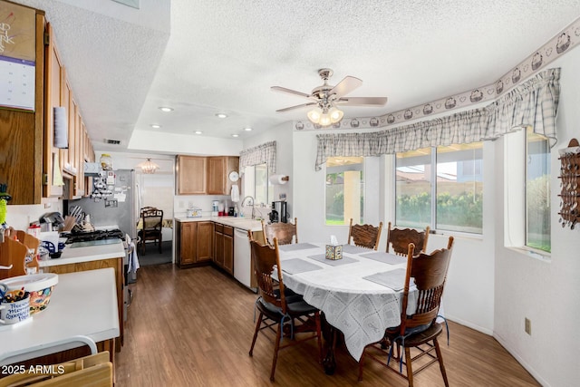 dining room with sink, wood-type flooring, a textured ceiling, and ceiling fan