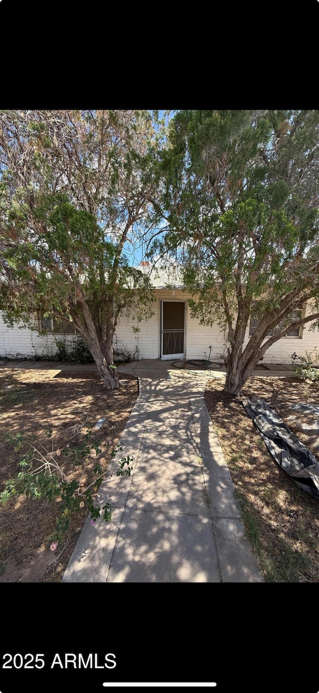311 W 11th St, Casa Grande, AZ 85122 - view of property hidden behind natural elements with a patio