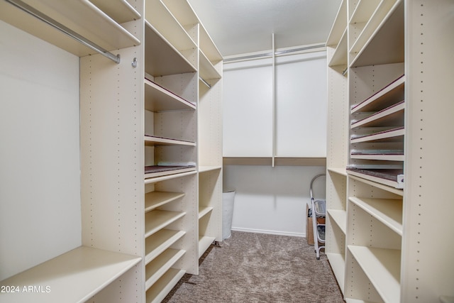 walk in closet featuring carpet