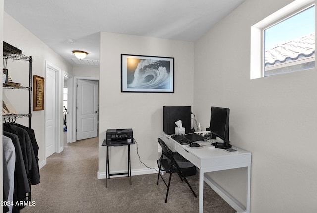 home office with carpet floors