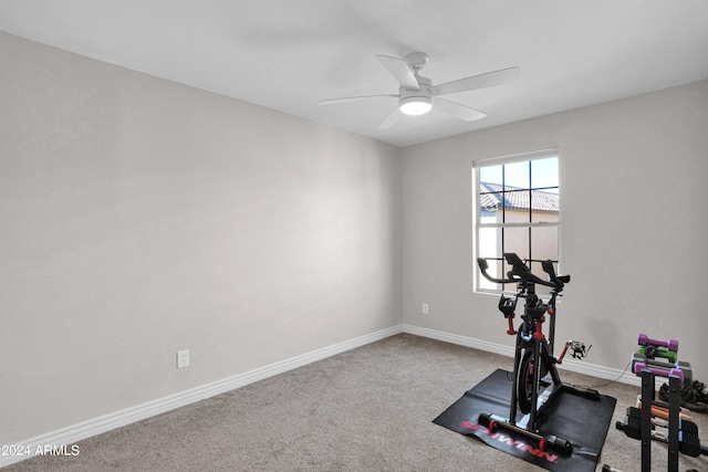 workout room featuring carpet floors and ceiling fan