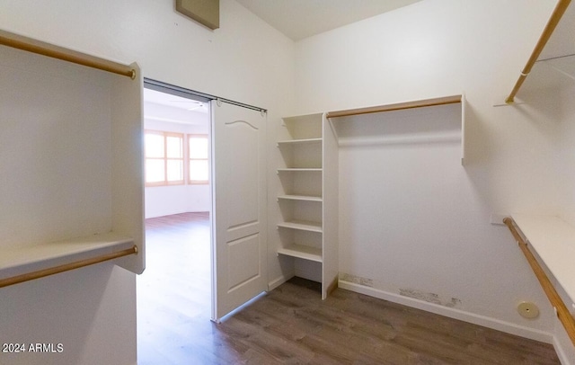 walk in closet with wood-type flooring