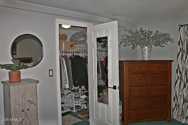 1181 S Cherokee Dr, Show Low, AZ 85901 - view of closet