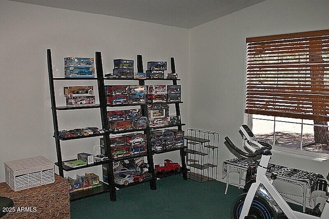 1181 S Cherokee Dr, Show Low, AZ 85901 - office featuring carpet flooring