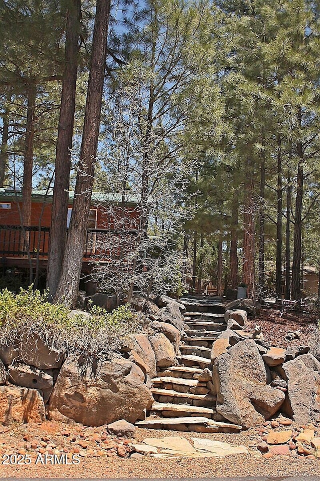 1181 S Cherokee Dr, Show Low, AZ 85901 - view of yard