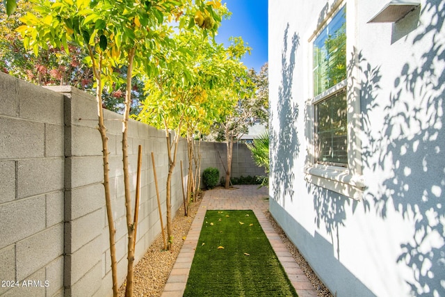 view of yard with a patio area