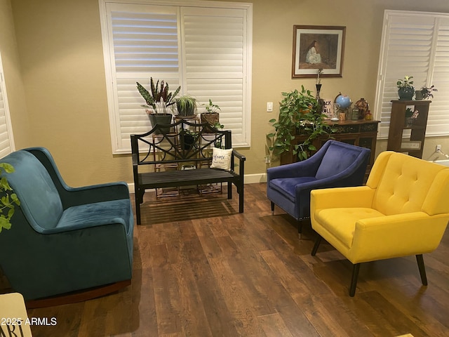 living area featuring dark wood-type flooring