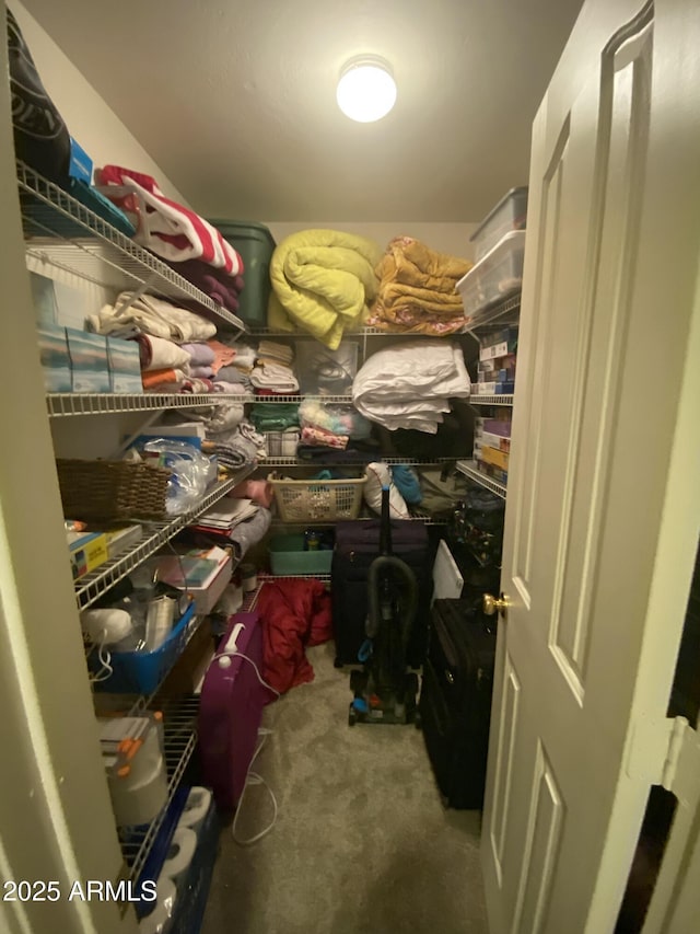 walk in closet with carpet